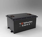 Baterai Gol Golf Lithium Ion 48V